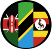Swahili flag